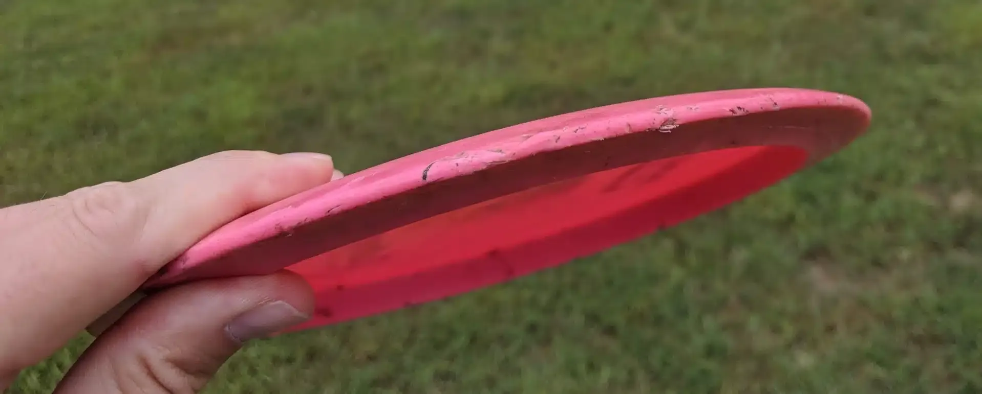 Nicks and WEar in Inexpensive Disc Practice