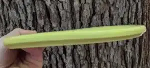 Warped Golf Disc from Tree Hit