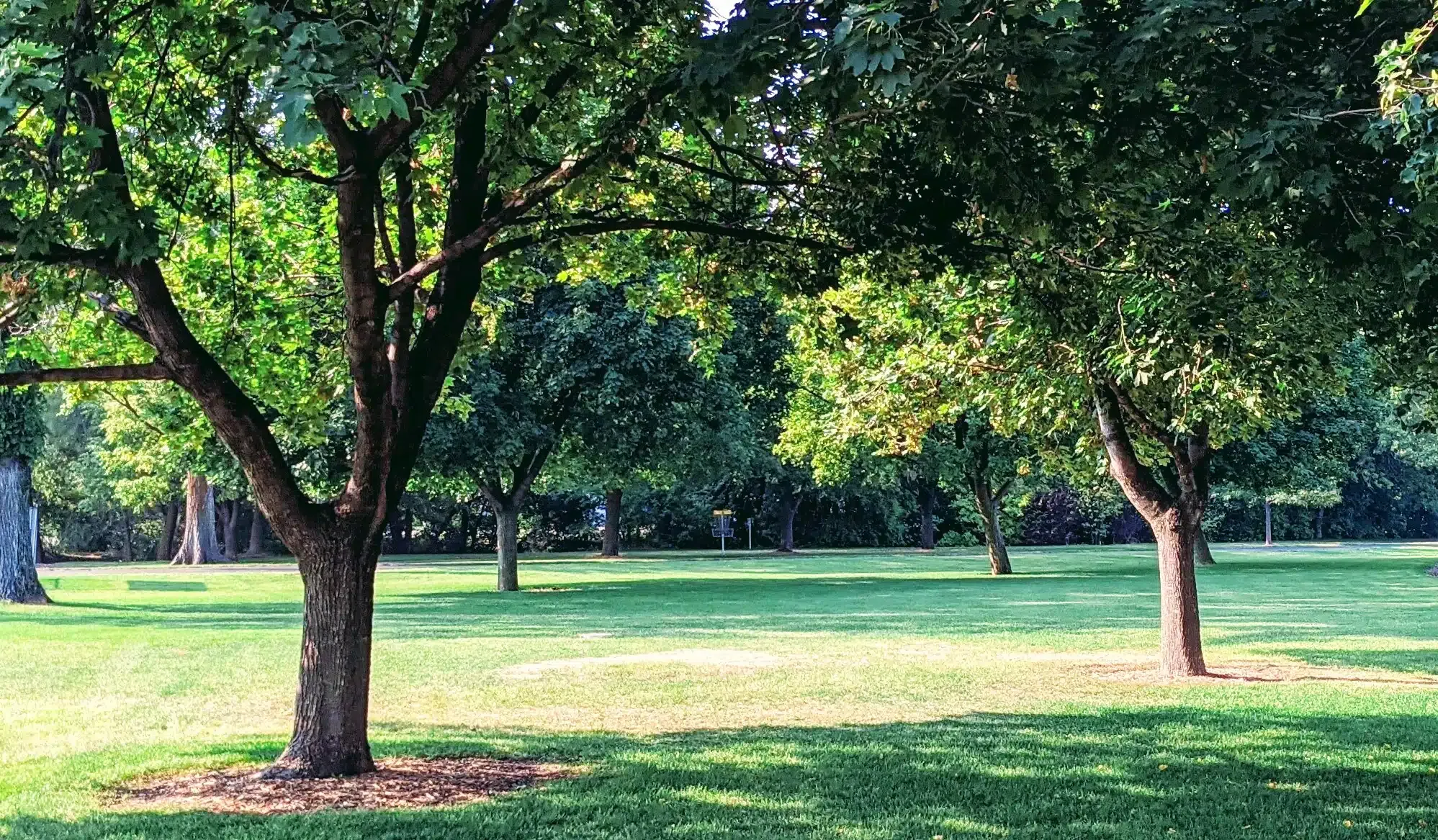 Find the target at this Frisbee Golf Course