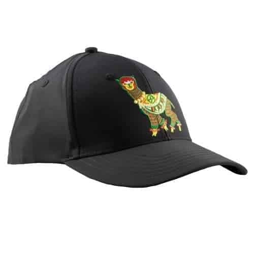 Infinite Discs Alpaca Hat