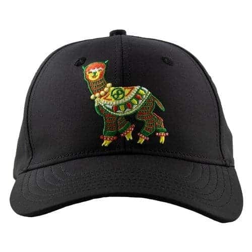 Infinite Discs Alpaca Hat - Image 2