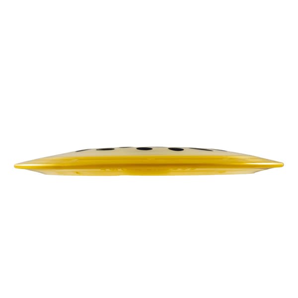 Yikun Discs Twin Swords Tortoise Fruit - Distance Driver - Image 3