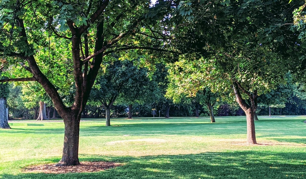 Find the target at this Frisbee Golf Course