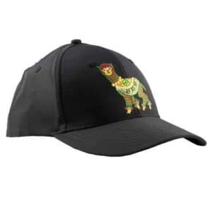Infinite Discs Alpaca Hat